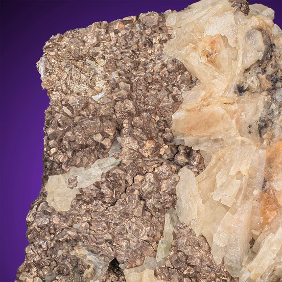 Nickeline-Eisleben | Mansfeld | Harz | Saxony-Anhalt | Germany